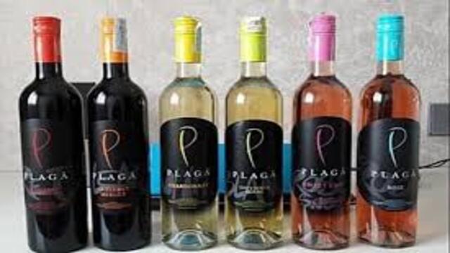 Wine dari Anggur Lokal Indonesia Potensi dan Keunikan