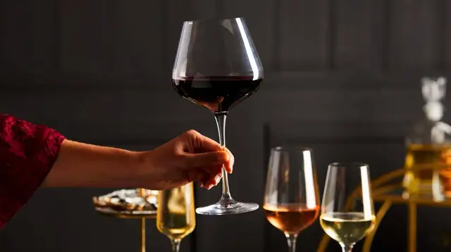 Tips Memilih Wine Pemula: 5 Cara Biar Tidak Salah Beli