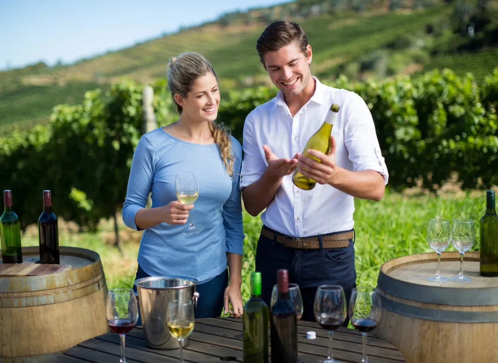 Perkembangan Budaya Wine Tasting Membuka Wawasan Baru Tentang Dunia Kuliner Global