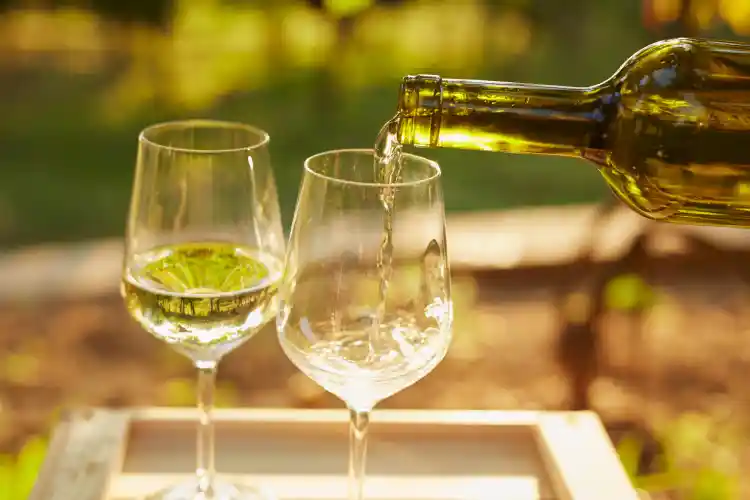 Jenis Wine Populer di Dunia dan Cara Memilih yang Sesuai Selera Makanan